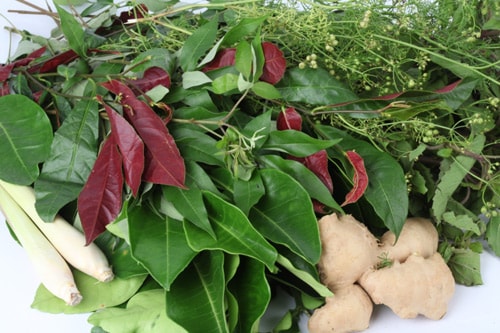 Bài thuốc xông hơi giải cảm