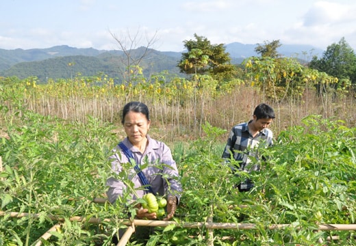 Giảm nghèo - còn nhiều thách thức