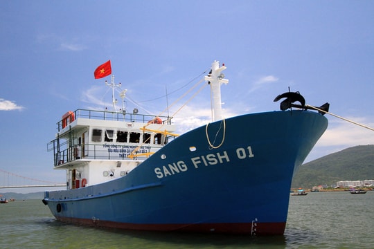 Thông tin báo chí về chính sách hỗ trợ ngư dân của Chính phủ