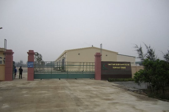 Xử lý ô nhiễm môi trường ở Nhà máy SX bột cá Xuri Việt Trung