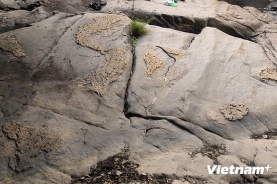 Phát hiện phiến đá nổi lên hình ảnh về bản đồ Việt Nam