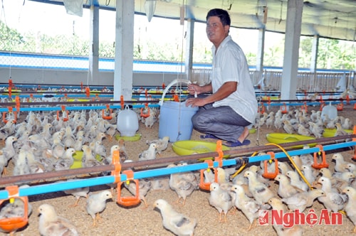 Phát huy lợi thế    xã bãi ngang