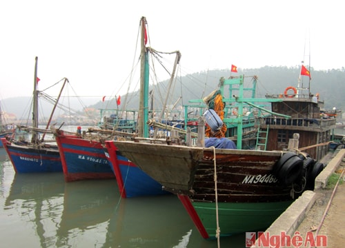 Quỳnh Lưu: Khẩn trương kêu gọi tàu thuyền về tránh cơn bão số 2