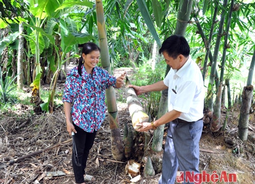 Bồi dưỡng, sử dụng cán bộ miền núi