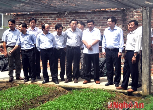 Bộ trưởng Cao Đức Phát thăm các mô hình kinh tế tại Nghệ An
