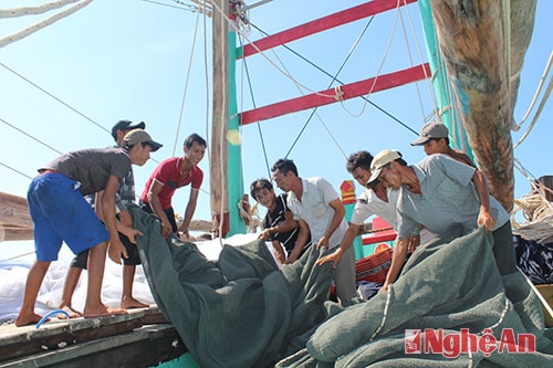 Thủ lĩnh giữa biển khơi