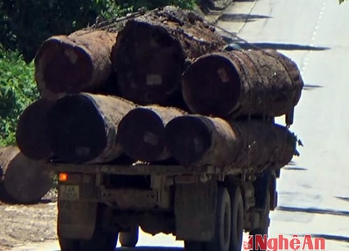 Xe quá tải hoành hành trên các tuyến quốc lộ:Buông lỏng quản lý?!