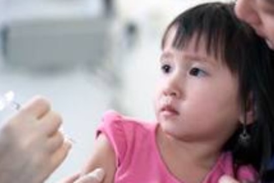 WHO: "Vaccine ho gà toàn tế bào hiệu quả hơn vaccine vô bào"