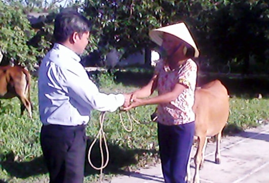 Trao tặng bò cho 3 hội viên nông dân nghèo xã Quỳnh Tân