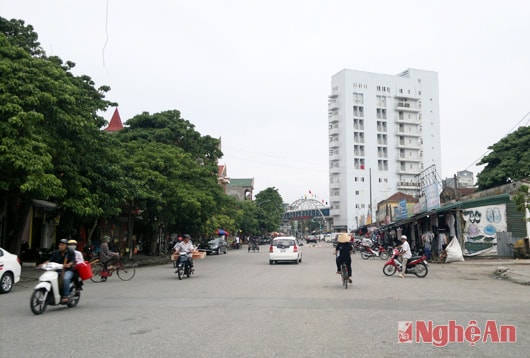 Đường Tuệ Tĩnh - Góc phố xanh