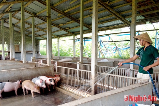 Xóa "trắng" tổ tiết kiệm và vay vốn ở cơ sở Đoàn