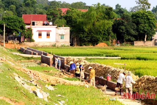 Xây dựng Kim Liên trở thành xã nông thôn mới kiểu mẫu