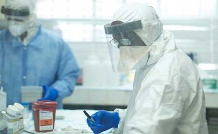 Phát hiện manh mối di truyền về sự bùng phát dịch Ebola