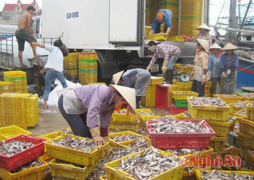 Làm gì để nâng tăng trưởng nông, lâm, ngư nghiệp?