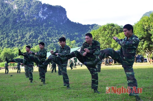 Hội thi, Hội thao điều lệnh giỏi và võ thuật năm 2014