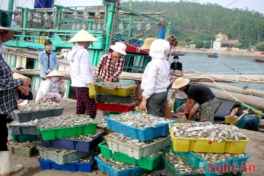 Nâng cao nhận thức cho ngư dân về bảo vệ nguồn lợi thủy sản