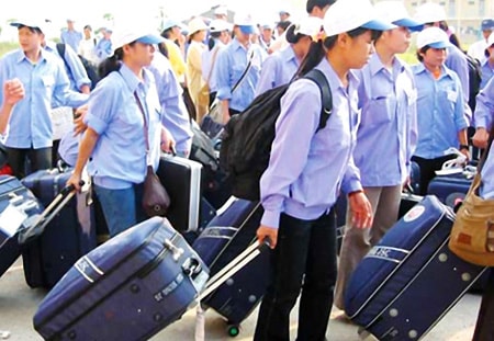 23% doanh nghiệp đưa LĐ đi làm việc ở nước ngoài được xếp hạng A1