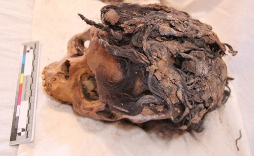 Thời trang tóc nối ở Ai Cập cổ đại