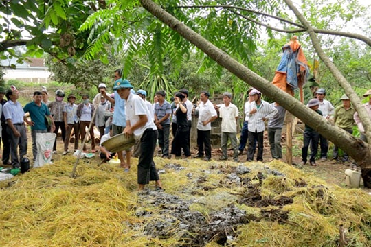 Sản xuất phân vi sinh từ chế phẩm sinh học: Nông dân chưa mặn mà
