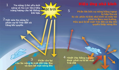 Hiệu ứng nhà kính, mối hiểm họa toàn cầu