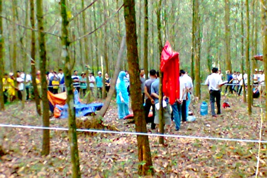 Nam sinh tự vẫn trong rừng tràm