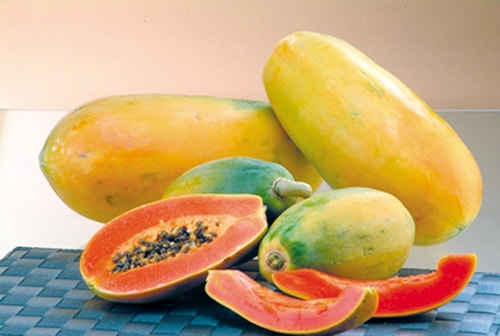 Đu đủ hỗ trợ chữa sỏi thận, sỏi mật