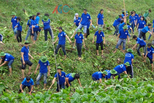 Xây dựng chính sách cho thanh niên tình nguyện