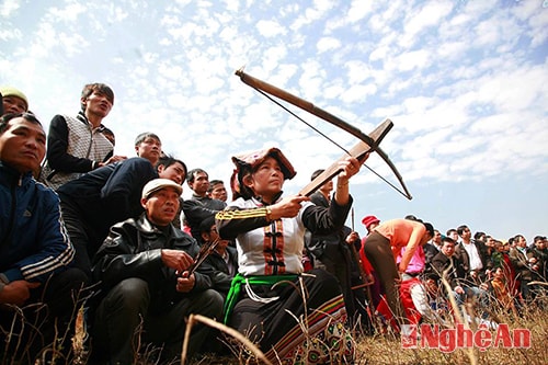 Hương sắc Quỳ Châu