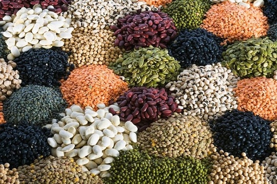 Đậu xanh - tiên dược giá rẻ cho sức khỏe