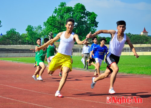 Các giải đấu thể thao cấp tỉnh: Cần chuyên nghiệp hóa