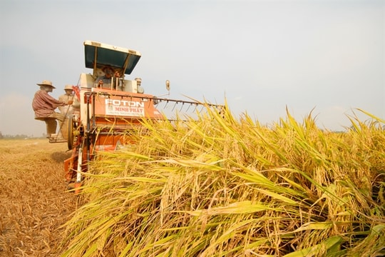 Tìm đột phá kinh tế hợp tác