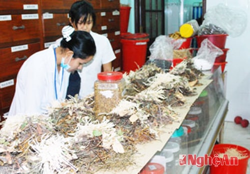 Cẩn trọng khi dùng thuốc Đông Y