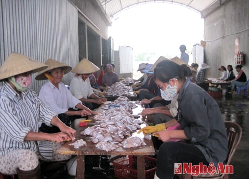 Quỹ hỗ trợ nông dân: Giúp hội viên thoát nghèo hiệu quả