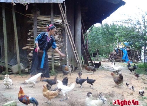 Khởi sắc bản người Mông ở Lưu Thông, Lưu Kiền (Tương Dương)