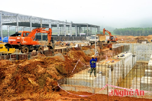 Thúc đẩy phát triển kinh tế rừng ở miền Tây