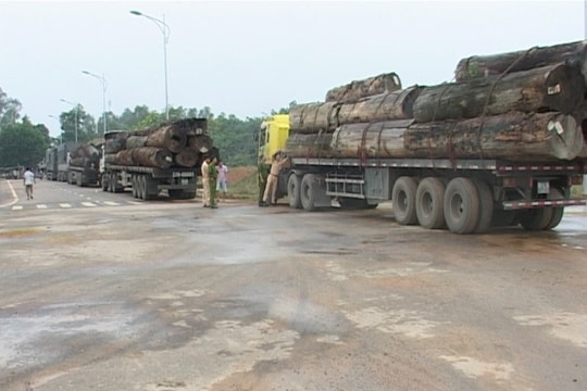 Công an Nghĩa Đàn: Tạm giữ 3 xe quá khổ