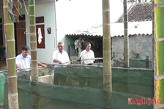 Người lính Cụ Hồ trên trận tuyến mới