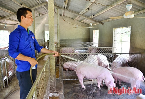 Ông chủ trẻ làng Vệ Nông