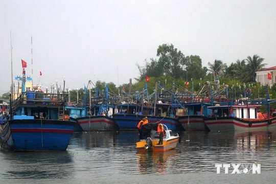 Các tỉnh cần triển khai biện pháp đối phó với gió mạnh trên biển
