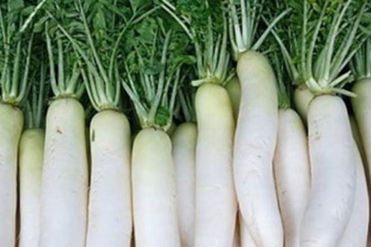 Tác dụng không ngờ của củ cải trắng
