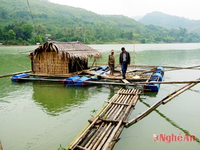 Nuôi cá lồng vùng lòng hồ