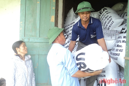 Tạo hiệu quả mới cho cây trồng vụ xuân