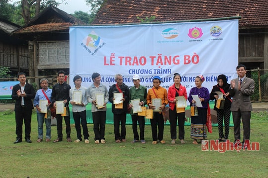 Chi nhánh Viettel Nghệ An trao bò giống cho hộ nghèo Tương Dương, Kỳ Sơn