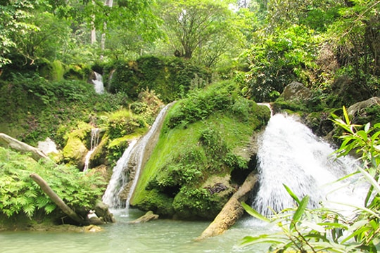 Đa dạng sinh học ở Puxailaileng