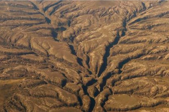 7 nước Mỹ Latinh cam kết phục hồi 20 triệu hecta đất bạc màu