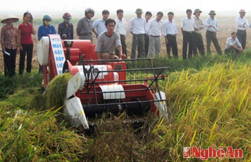 Từ 01/01/2015, bổ sung một số mặt hàng không chịu thuế GTGT