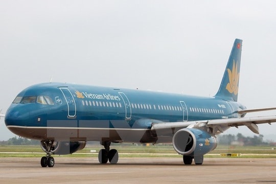 Lập tổ điều tra vụ máy bay hạ cánh khẩn cấp tại Nội Bài