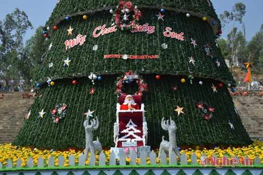 Vui đón Noel cùng cây thông khổng lồ