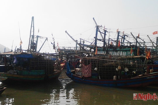 Đã tìm thấy 1 ngư dân mất tích trên biển