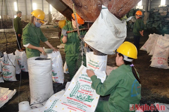 Tập trung giải quyết việc làm cho người lao động